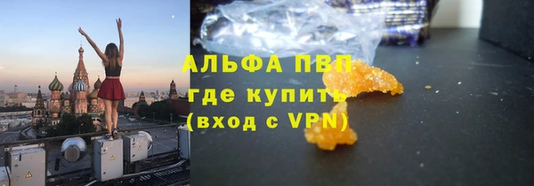 СК Вяземский