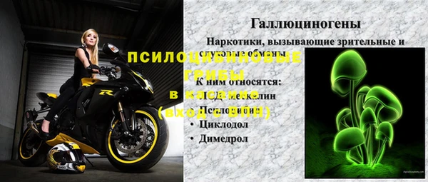 СК Вяземский