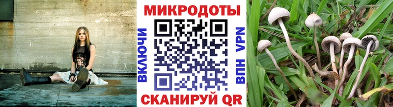 Псилоцибиновые грибы MAGIC MUSHROOMS  Купить закладки  Чаплыгин 
